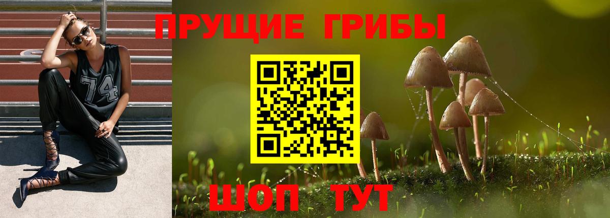 Галлюциногенные грибы Psilocybe  Вход с VPN  Нерюнгри  Галлюциногенные грибы мухоморы 